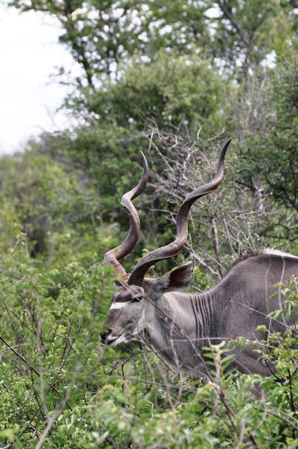 Outeniqua Guest & Hunting Farm Villa Okahandja Exteriör bild