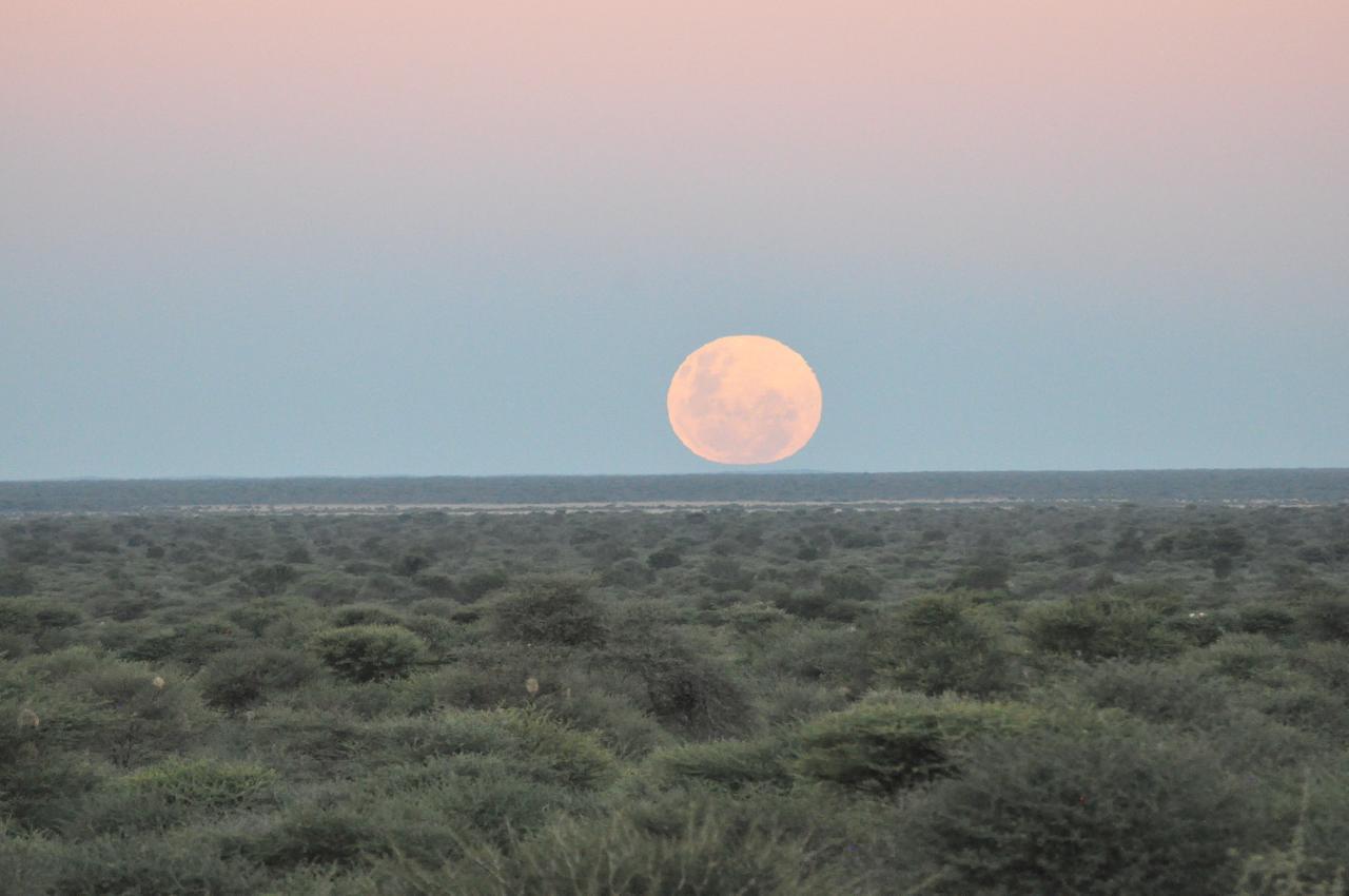 Outeniqua Guest & Hunting Farm Villa Okahandja Exteriör bild